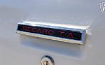 1981 Trans Am Daytona Pace Car Thumbnail 43