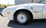 1981 Trans Am Daytona Pace Car Thumbnail 47