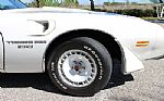 1981 Trans Am Daytona Pace Car Thumbnail 50