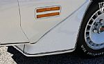 1981 Trans Am Daytona Pace Car Thumbnail 53