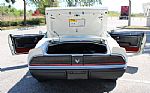 1981 Trans Am Daytona Pace Car Thumbnail 71