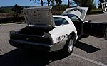 1981 Trans Am Daytona Pace Car Thumbnail 72