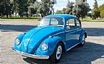 1965 Beetle Thumbnail 1