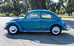 1965 Beetle Thumbnail 2