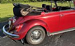 1971 Beetle Thumbnail 23