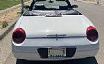 2003 Thunderbird Convertible Thumbnail 6