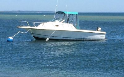 1996 Sunbird Neptune 230 