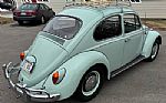 1966 Beetle Thumbnail 3
