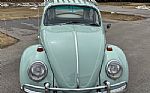 1966 Beetle Thumbnail 2