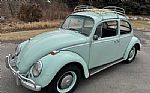 1966 Beetle Thumbnail 1