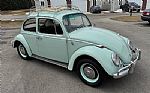 1966 Beetle Thumbnail 4