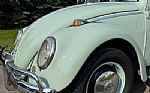 1966 Beetle Thumbnail 8
