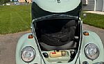 1966 Beetle Thumbnail 16