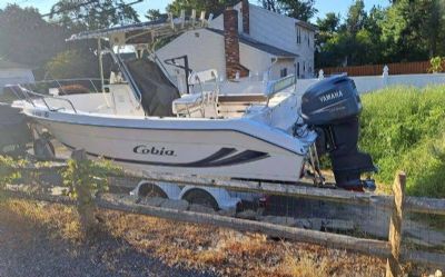 Photo of a 2002 26FT Cobia Center Console for sale