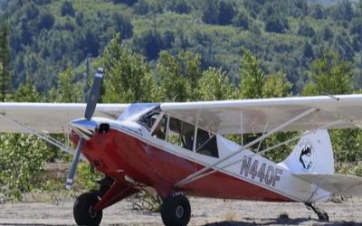 Photo of a 2006 Aviat Husky A-1B for sale