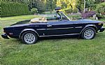 1980 Spider Thumbnail 62
