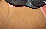1995 Wrangler Rio Grande Thumbnail 38