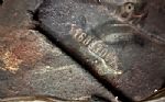 1966 Beetle Thumbnail 3