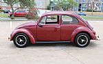 1966 Beetle Thumbnail 6