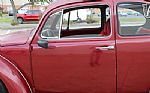 1966 Beetle Thumbnail 67