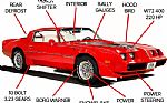 1979 Trans Am Thumbnail 6