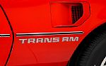 1979 Trans Am Thumbnail 25