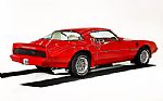 1979 Trans Am Thumbnail 28