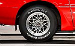 1979 Trans Am Thumbnail 67