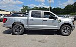 2025 F-150 Thumbnail 11