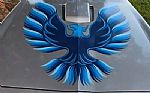 1979 Trans Am WS6 Thumbnail 3