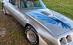 1979 Trans Am WS6 Thumbnail 2