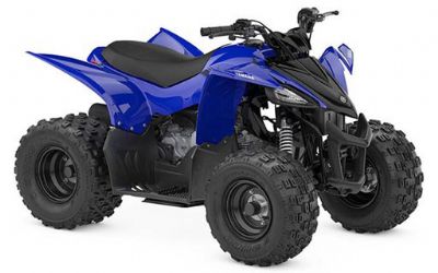 Photo of a 2024 Yamaha YFZ 50 Demo for sale