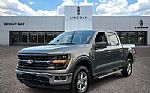 2025 F-150 Thumbnail 1