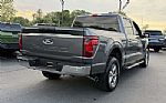 2025 F-150 Thumbnail 5