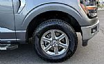 2025 F-150 Thumbnail 6