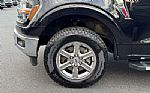 2025 F-150 Thumbnail 6