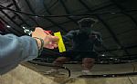 1998 Corvette Thumbnail 28