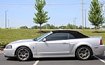 2003 Mustang Thumbnail 3