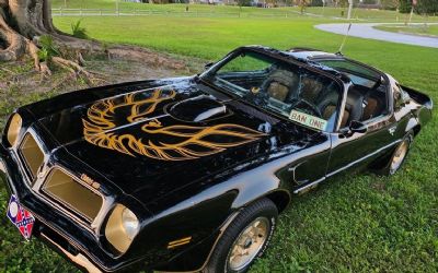 Photo of a 1976 Pontiac Firebird Trans Am 50TH Anniver 1976 Pontiac Firebird Trans Am 50TH Anniversary for sale