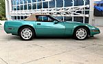 1991 Corvette Thumbnail 23