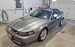 2001 Mustang SVT Cobra Thumbnail 9