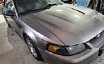 2001 Mustang SVT Cobra Thumbnail 11