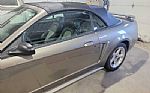 2001 Mustang SVT Cobra Thumbnail 22