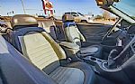 2001 Mustang SVT Cobra Thumbnail 76