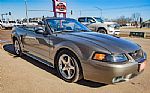 2001 Mustang SVT Cobra Thumbnail 88