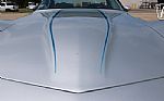 1981 Corvette Thumbnail 51
