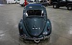 1961 Beetle Thumbnail 5