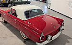 1955 Thunderbird Thumbnail 8