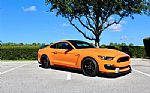 2020 Mustang Shelby GT350R Fastback Thumbnail 3