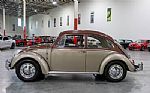 1965 Beetle Thumbnail 3